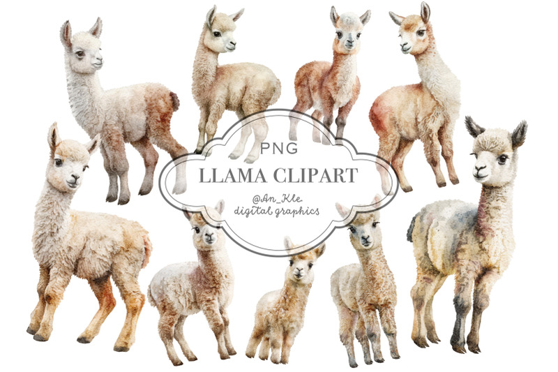 cute-llamas-clipart