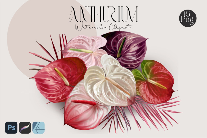 wedding-flower-anthurium-bundle