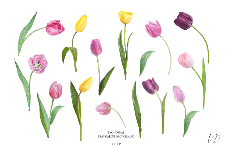tulips-hand-painted-flowers