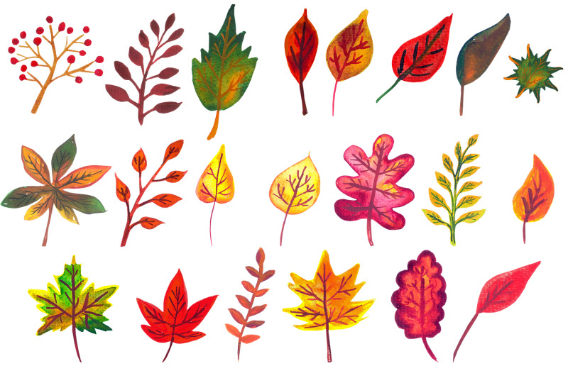 set-of-cliparts-watercolor-autumn-leaves
