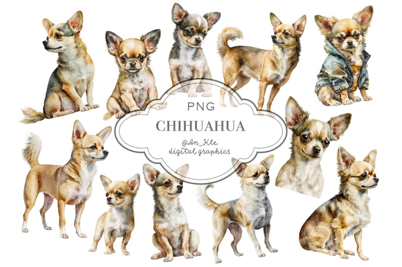 chihuahua-dogs-clipart