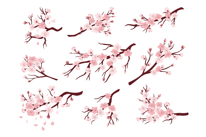 cherry-blossom-branches-japanese-blooming-trees-sakura-flowers-sprin