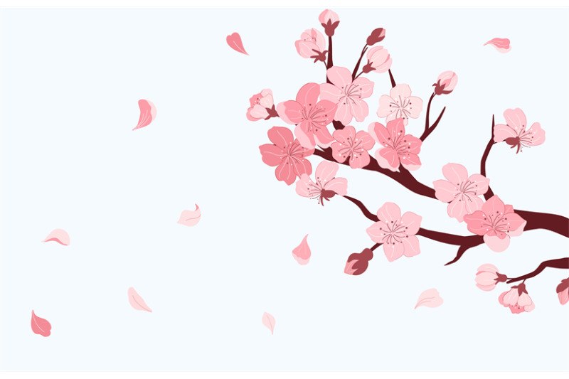 sakura-branch-cherry-blossom-with-falling-petals-of-pink-flowers-jap