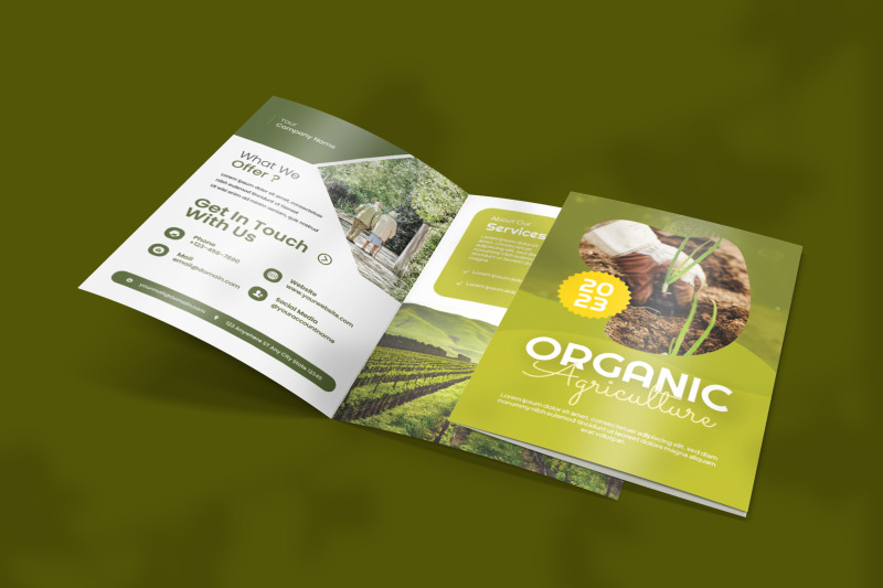 organic-bifold-brochure