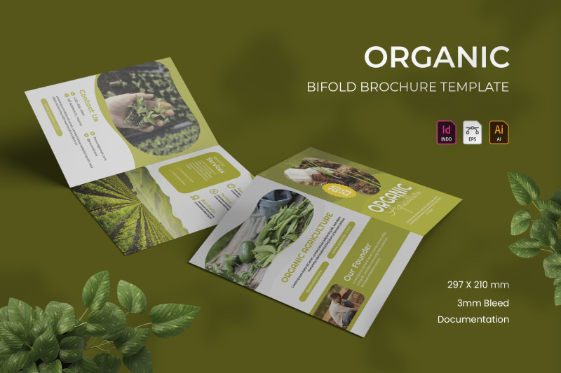 organic-bifold-brochure