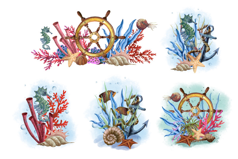 nautical-life-marine-arrangements-underwater-compositions