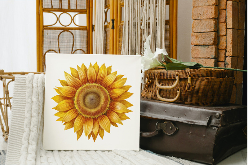 sunflowers-clipart