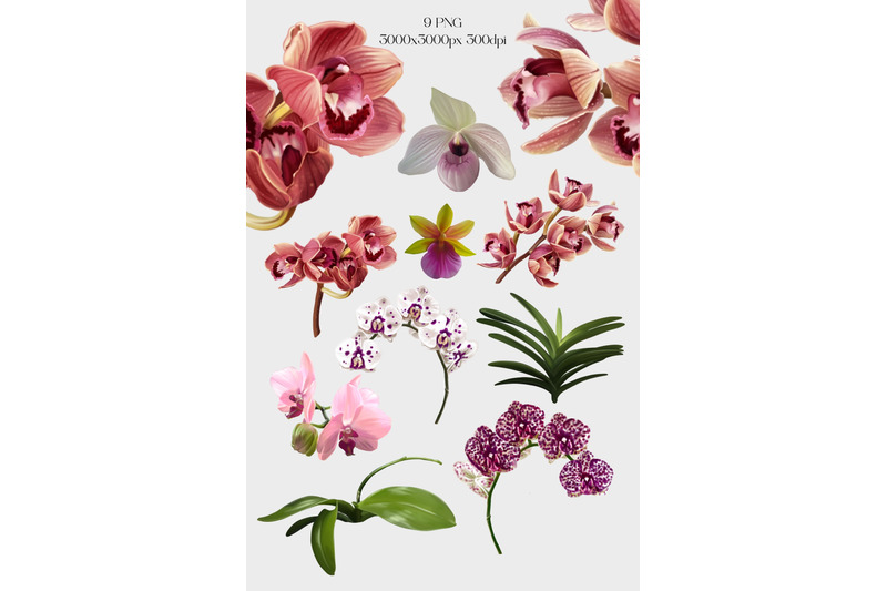 watercolor-orchids-clip-art-tropical-flowers-and-leaves-png