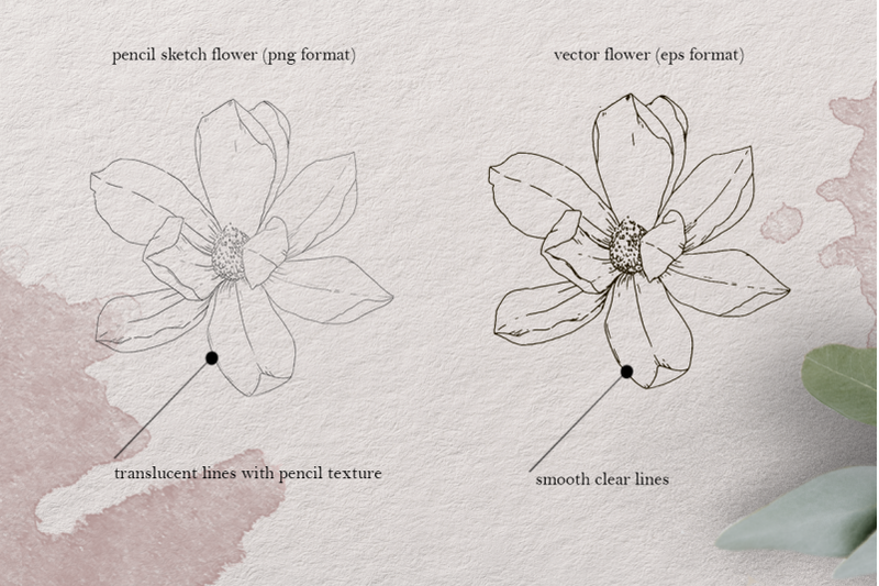 spring-flowers-pencil-sketch-set