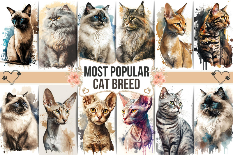 most-popular-cat-breeds-watercolor-wall-art