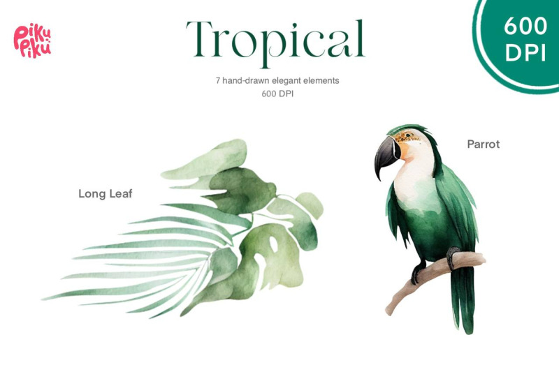tropical-dream