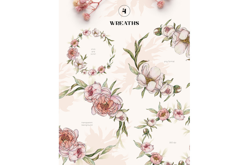 peony-watercolor-floral-set