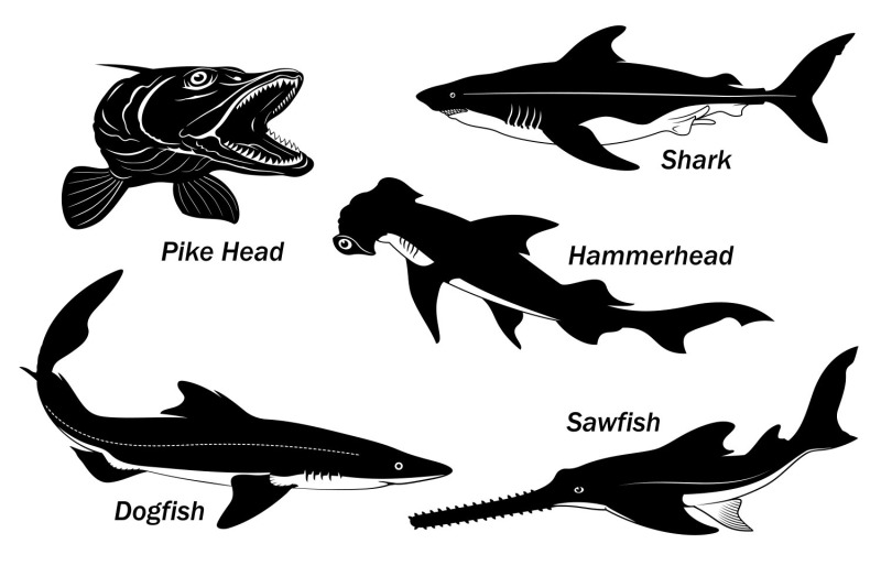 fish-silhouettes-set-svg-sharks-and-pike-head