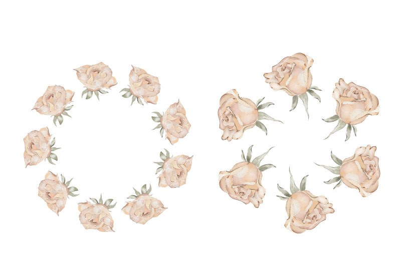 watercolor-roses-clipart-collection