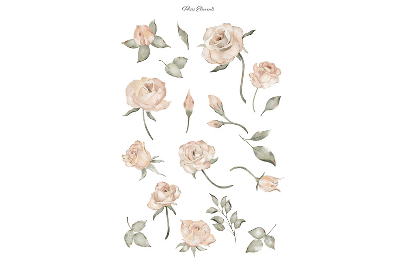 watercolor-roses-clipart-collection