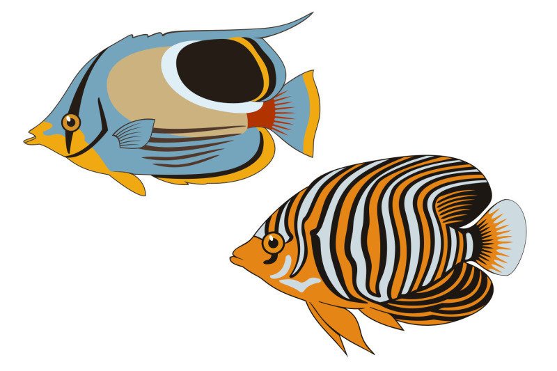 tropical-fish-cliparts