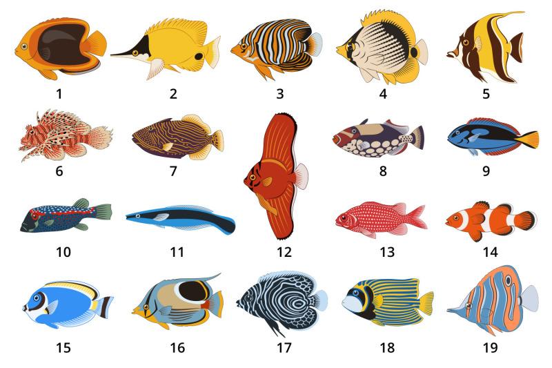 tropical-fish-cliparts