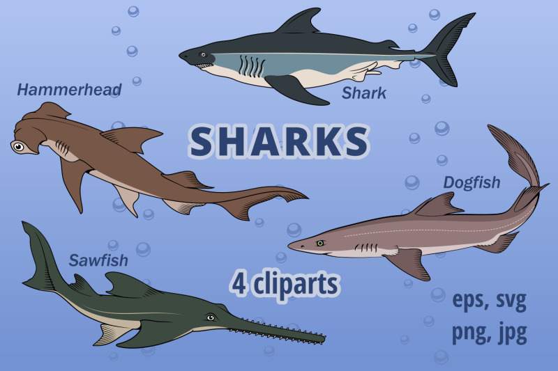 sharks-species-cliparts