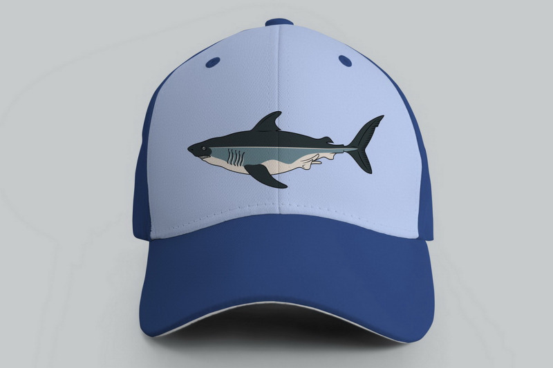 sharks-species-cliparts