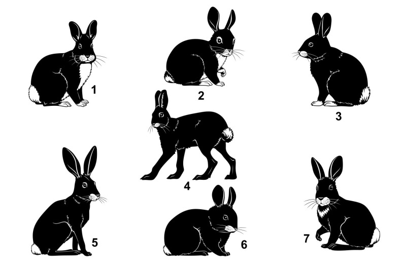 rabbits-silhouettes-svg-set