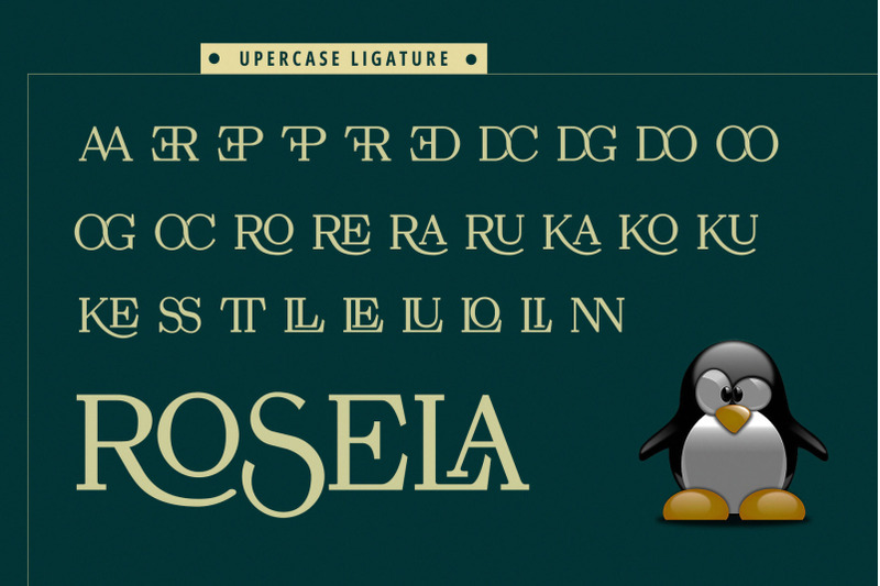 rosela-modern-serif