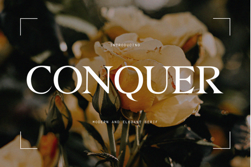 conquer-modern-serif