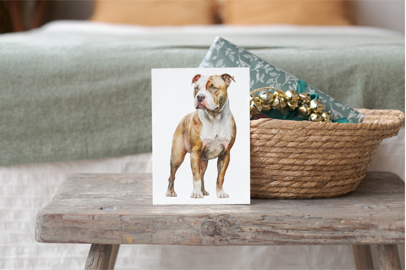 pit-bull-dogs-clipart