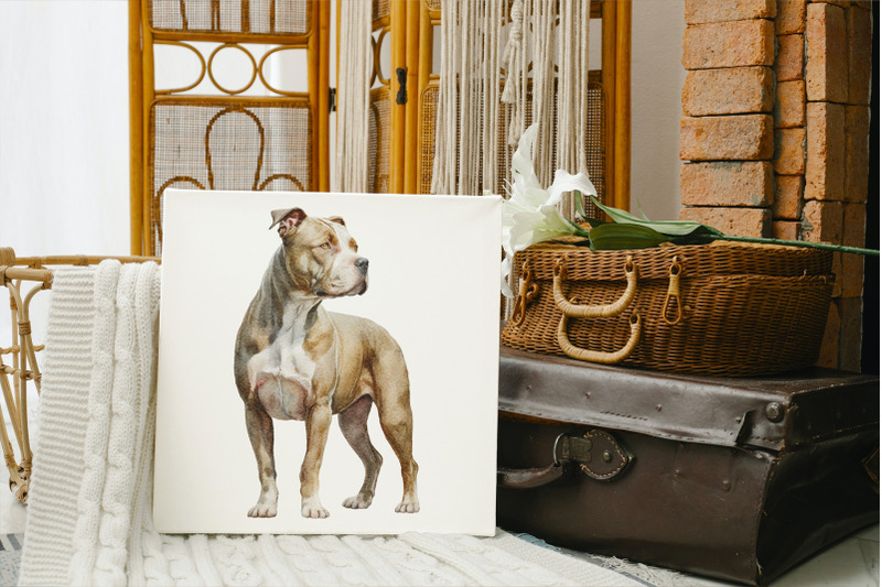 pit-bull-dogs-clipart