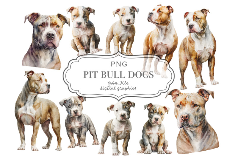 pit-bull-dogs-clipart