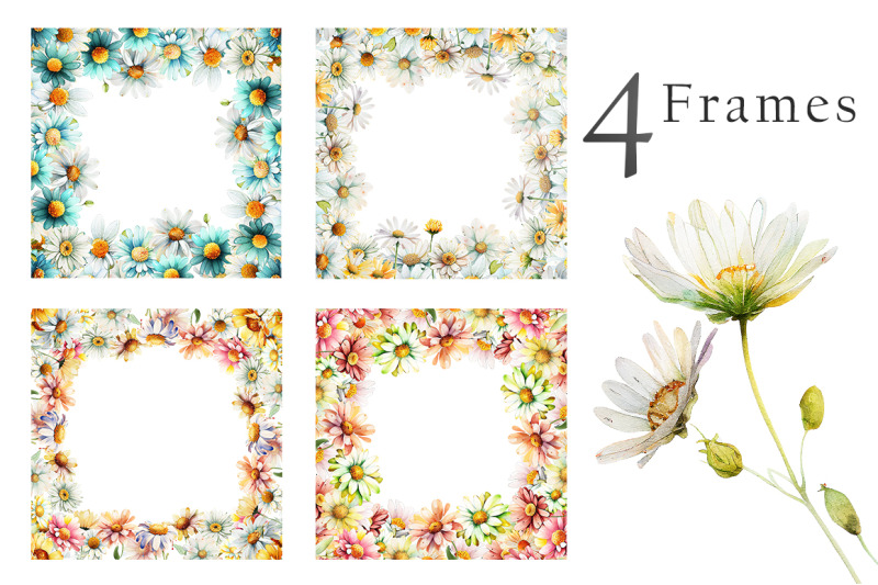 watercolor-daisies-flowers-clipart