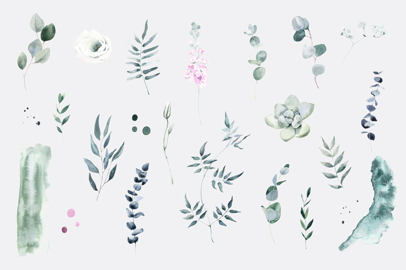 tender-flowers-watercolor-elements