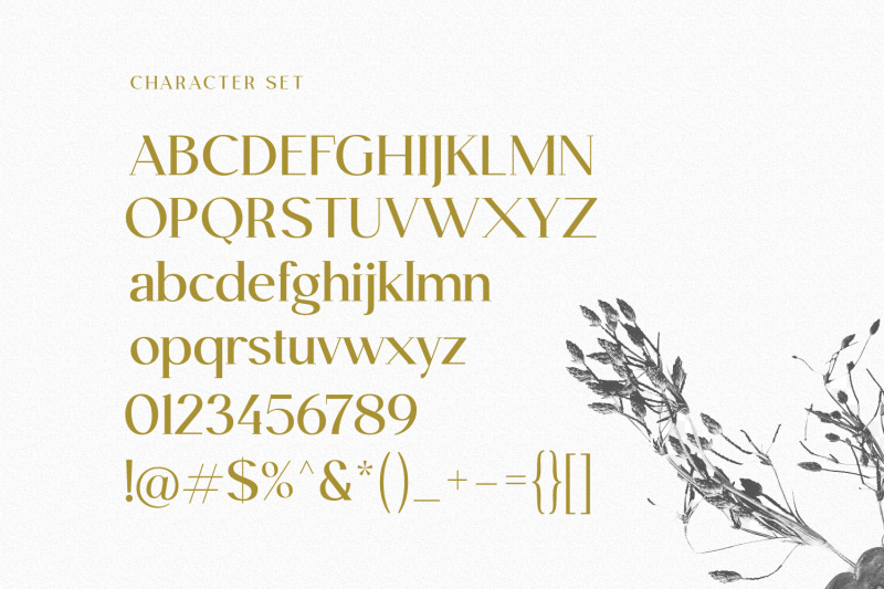 rilano-serif-display-font