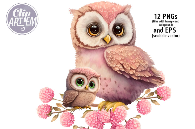 owls-with-flowers-bundle-12-pngs-eps-illustrations-for-any-project