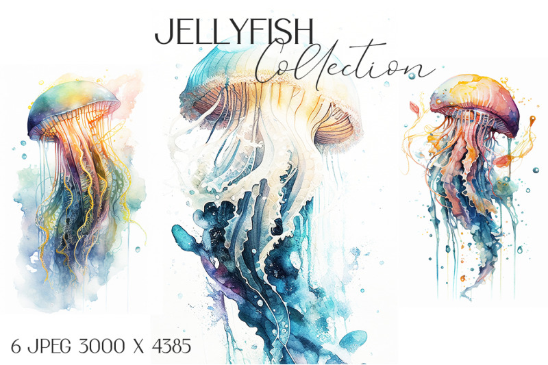 jellyfish-watercolor-illustrations-collection