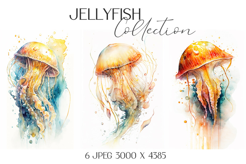 jellyfish-watercolor-illustrations-collection