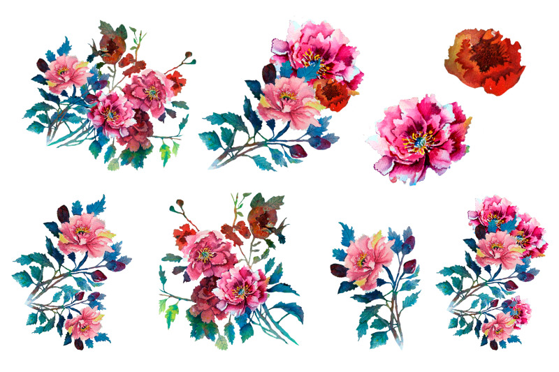 pink-peonies-watercolor-clipart