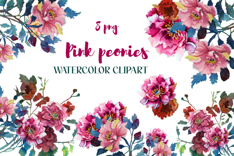 pink-peonies-watercolor-clipart