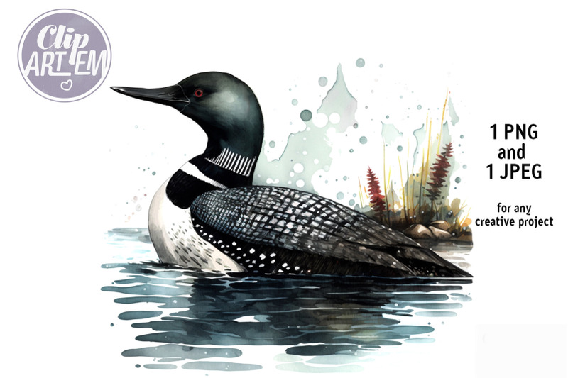 watercolor-loon-painting-png-and-jpeg-images-illustration-wall-art