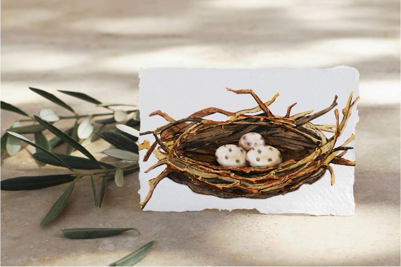 spring-birdhouse-nest-with-eggs-watercolor-clipart