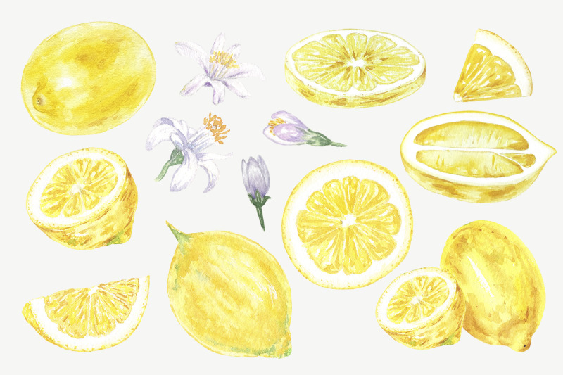 watercolor-clipart-lemon-filler-circles