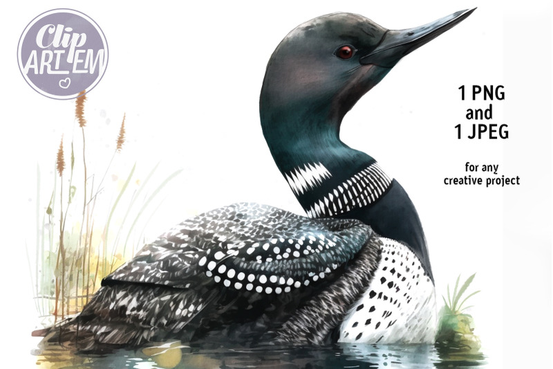 portrait-of-the-loon-bird-image-watercolor-wall-art-digital-print