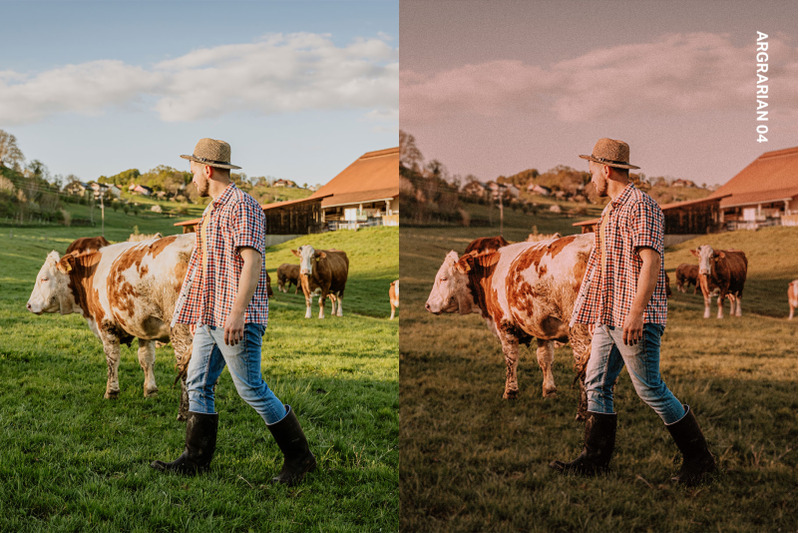 pastoral-aesthetic-presets-and-luts