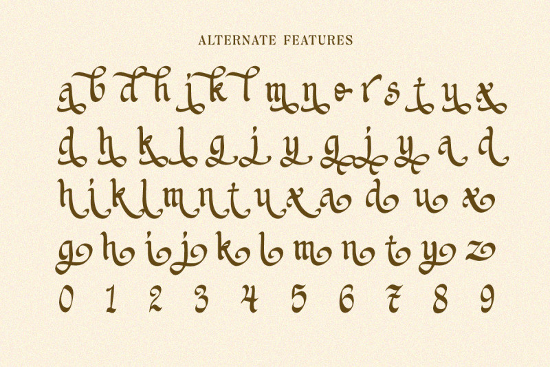 holystain-foundation-display-font
