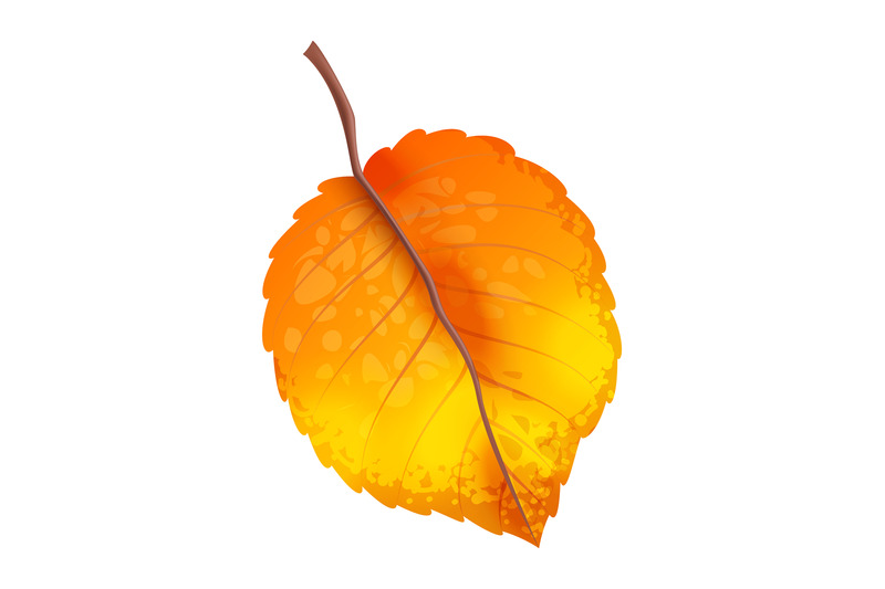 realistic-autumn-leaves-fall-orange-wood-foliage-fallen-yellow-leaf