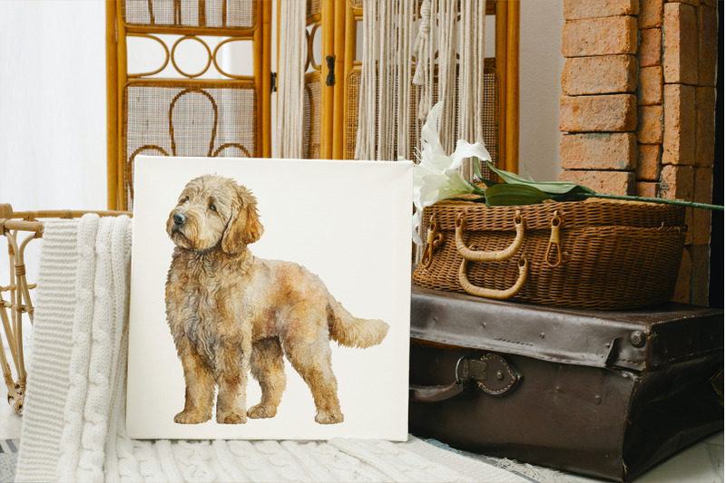 goldendoodle-dog-watercolour-clipart