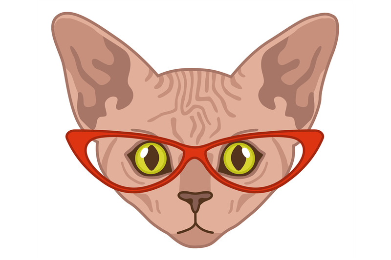 sphynx-cat-head-funny-character-in-red-glasses-domestic-animal-portr