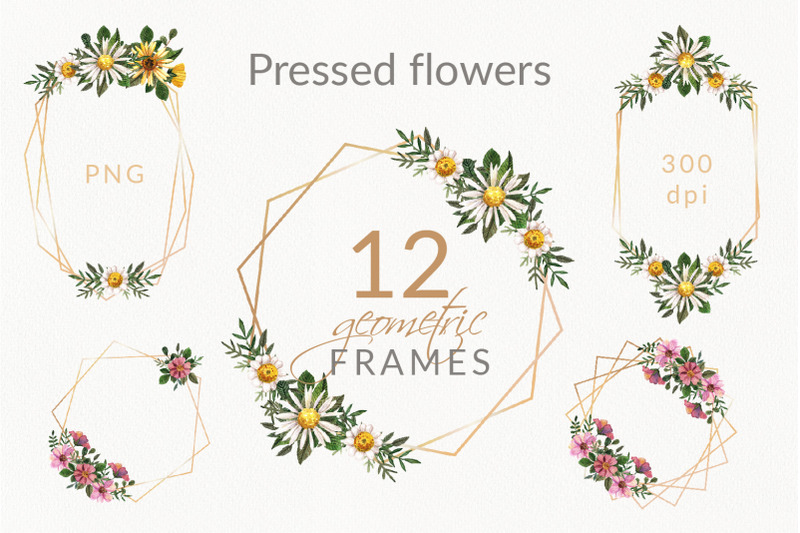 elegant-wedding-geometric-golden-watercolor-flower-frames