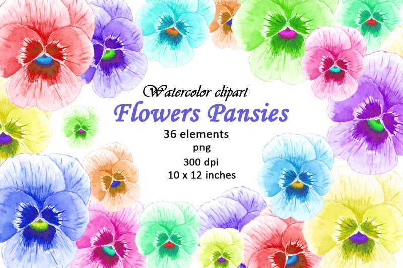 watercolor-flowers-clipart-pansies-png