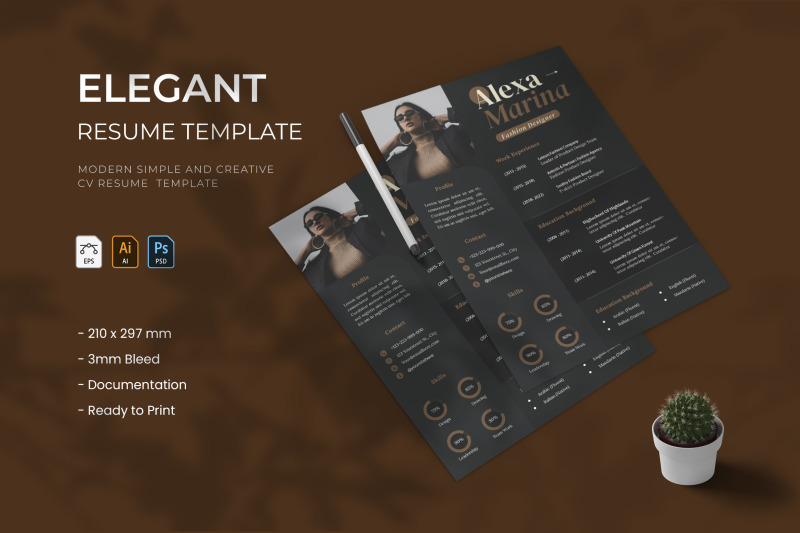 elegant-resume