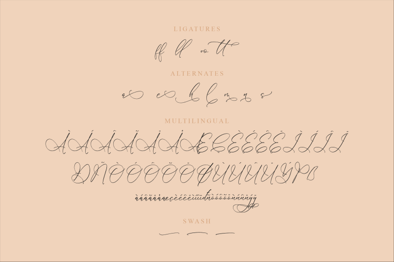 bolchanitas-voligate-chic-calligraphy-font